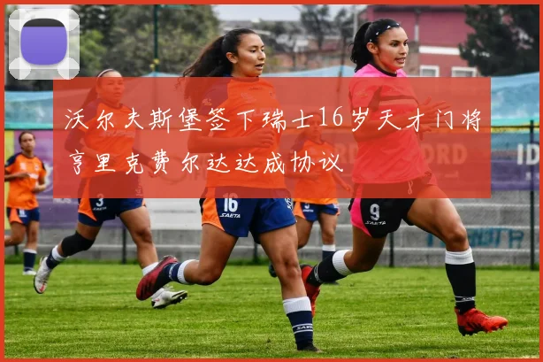 沃尔夫斯堡签下瑞士16岁天才门将亨里克费尔达达成协议